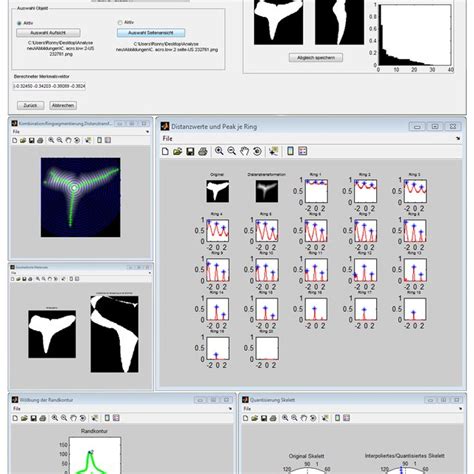 Morphometric Analysis Program MATLAB Script 的图像结果
