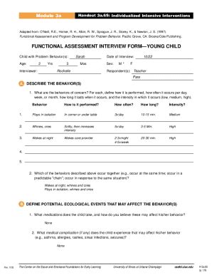 Functional Assessment Interview Form - Blank Fillable Template | Fill ...