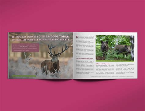 Image result for Editorial Magazine