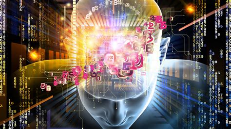 Netscouting – BrainStore