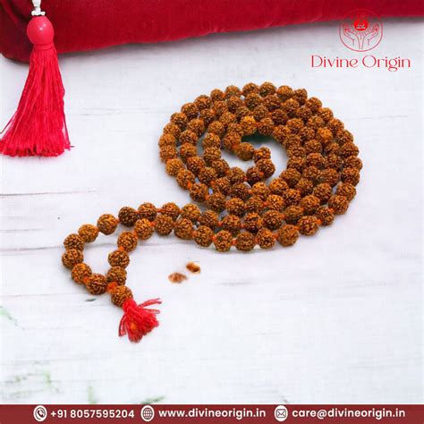 Premium Quality Rudraksha Mala 108+1 beads with lab tested – Divine ...