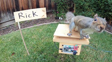 Mark Rober Squirrel at Gabriel Faulkner blog