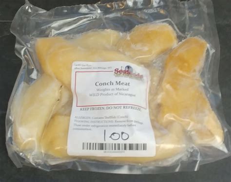 Image result for Conch Shell Meat