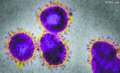 天花病毒怎么被消灭的-天花病毒消灭的原理-六六健康网