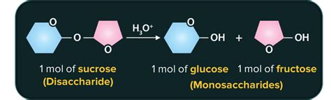 Biomolecules – Carbohydrates, Proteins, Nucleic Acids, Vitamins, Lipids ...