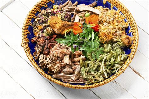 Plants for Medicine 的图像结果