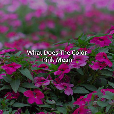 What Does The Color Red Mean In Japan - colorscombo.com