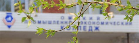 Основные сведения