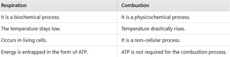 NCERT Solutions Class 11 Biology Chapter 14 - Respiration in Plants