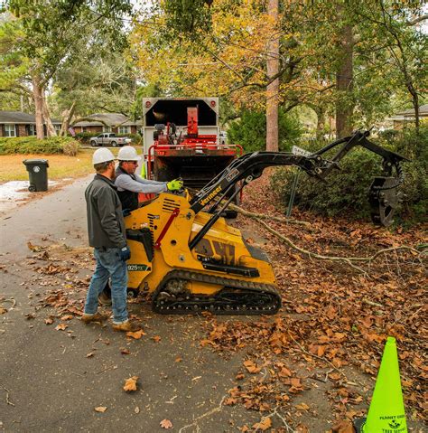 Stump Removal | Planet Green Tree Service