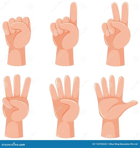 Counting Numbers with Hand Gesture Stock Vector - Illustration of five ...