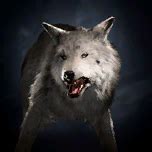 Dire Wolf (wild shape) - bg3.wiki