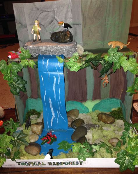 Shoe box diorama of the Rainforest my daughter (with help from me and ...
