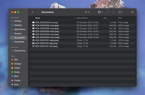 Mac File Explorer 的图像结果