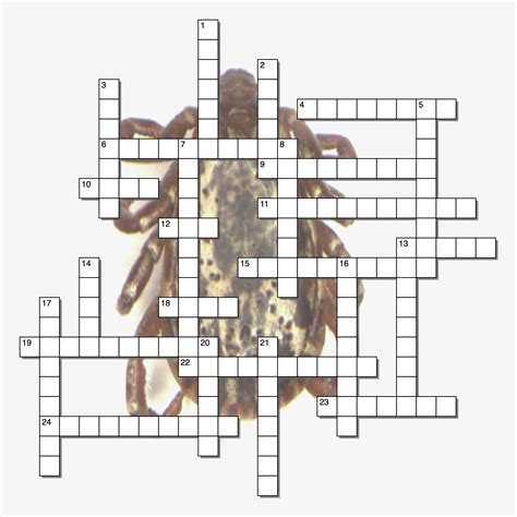 TICK CROSSWORD PUZZLE – Parasitology world