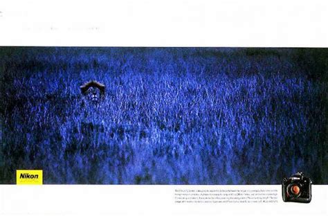 F5 Nikon Tutorial 的图像结果