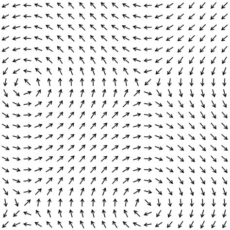 Vector Fields Tutorial 的图像结果