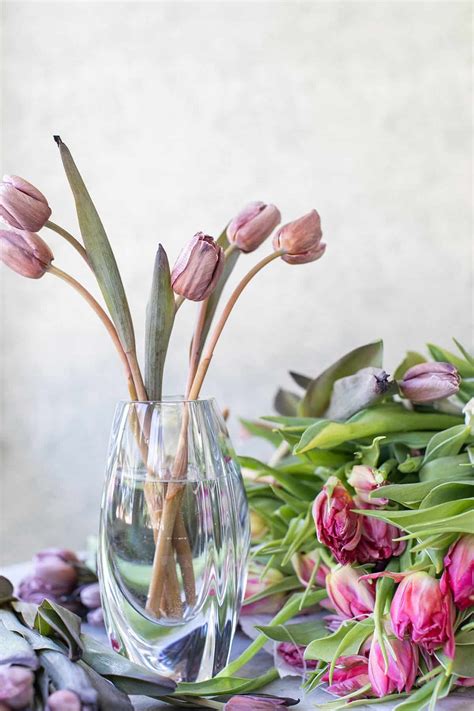How to Arrange Cut Tulips in a Vase - Sugar and Charm