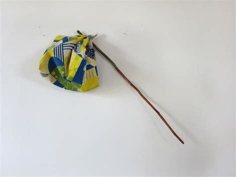 Image result for Bindle in Evidence Collection