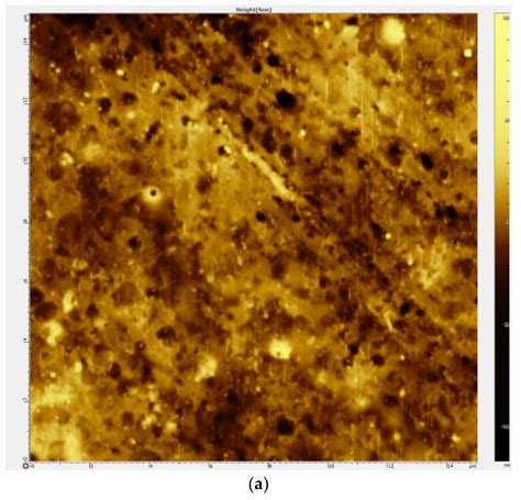 Transport Asymmetry of Novel Bi-Layer Hybrid Perfluorinated Membranes ...