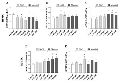 High Salt Promotes Inflammatory and Fibrotic Response in Peritoneal Cells