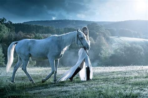 身骑白马讲的是怎样的故事 身骑白马这首歌表达什么意