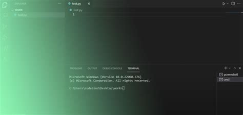 vs Code Debug Python 的图像结果