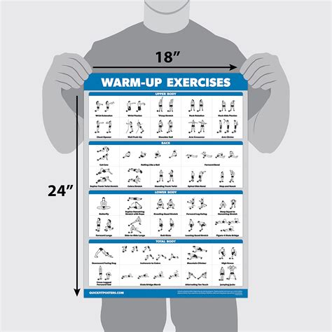 Buy Palace Learning 4 Pack - Warm Up Exercises + Muscle System Anatomy ...