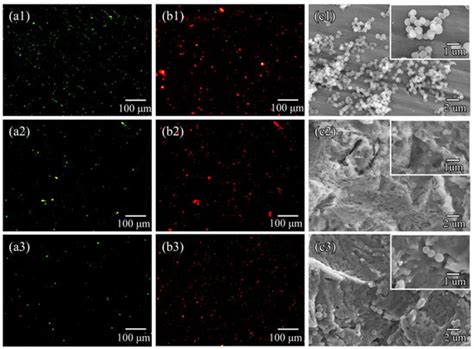 Enhancing the Antibacterial Properties and Biocompatibility of Ti-Cu ...
