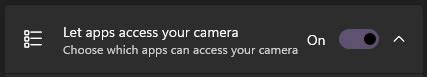 Visual Studio Access Camera 的图像结果