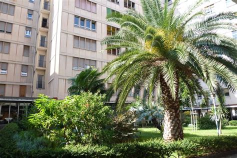 VIOLA ACCOMMODATION (Rome) - Specialty Inn Reviews, Photos, Rate ...