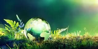 Moodle@Christ College: All courses