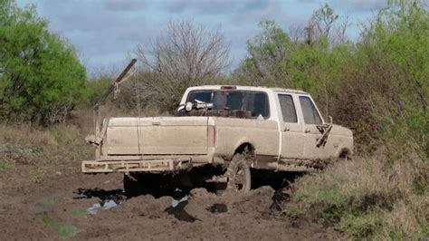 Image result for Exploding Hog Hunting