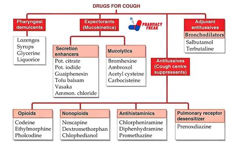 Drug Allergy Cough Medicine at Louis Brannan blog
