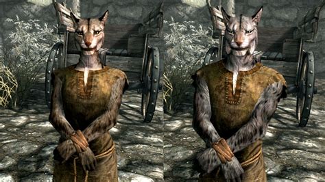 Benefits Of Skyrim Races at Jeremy Tellez blog