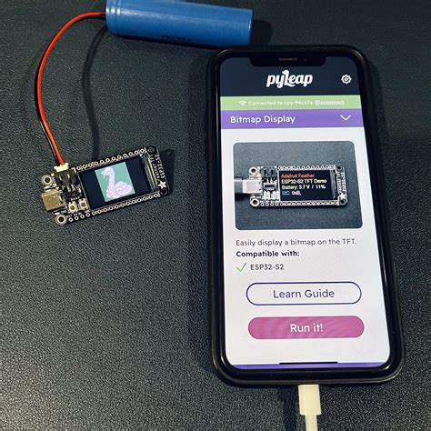 Image result for Function of Pyleap