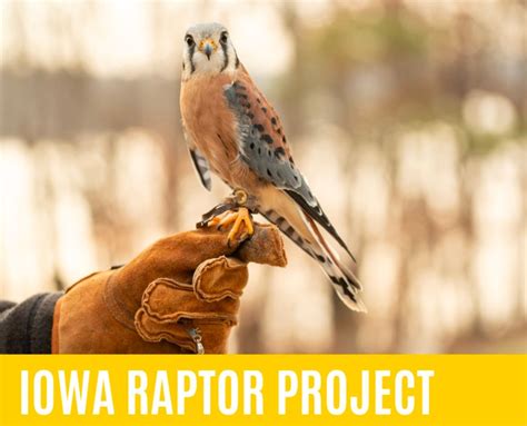 Iowa Raptor Project presents Raptor Ambassadors Program, 8991 B ...