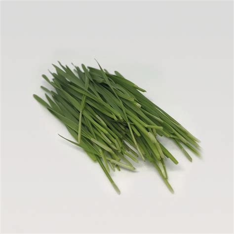 MICROGREENS - WHEATGRASS | Natural & Organic | SKU: KC4 – THE ALTITUDE ...