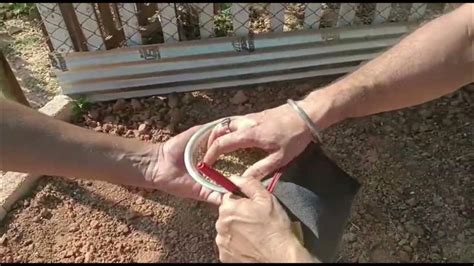 Broadcasting Planting 的图像结果