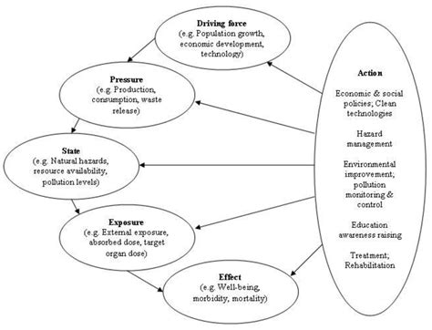 A Review of Frameworks for Developing Environmental Health Indicators ...