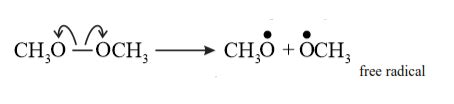 NCERT Solutions for Class 11 Chemistry chapter 12 Organic Chemistry ...