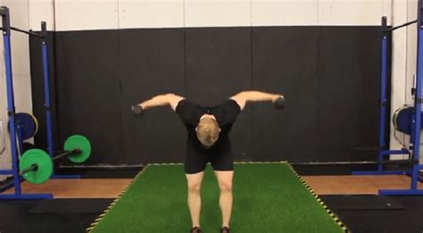 Image result for Reverse Fly Over FitBALL