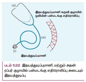 ஒலி அலைகளின் எதிரொலிப்பு | Reflection of Sound Waves | in Tamil