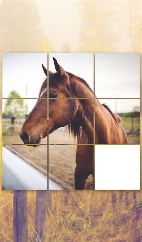 Horse Puzzles Games:Amazon.in:Appstore for Android