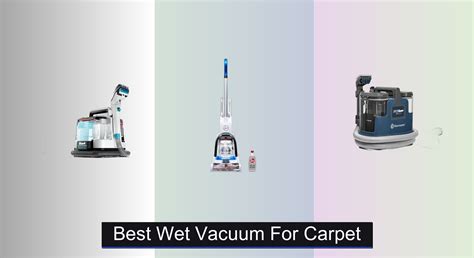 7 Best Wet Vacuums for Carpet of 2025 - Vacuums.Best