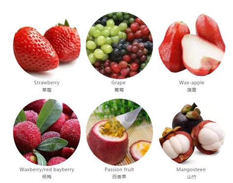 500种水果名称 水果动物名称大全 - 汽车时代网