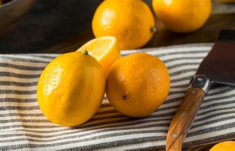 A complete guide to lemons | lovefood.com