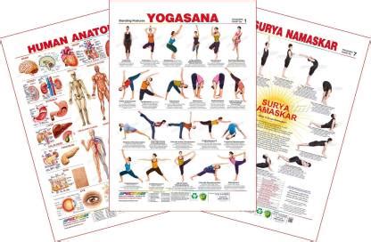 Set of 3 Educational Wall Charts (Human Anatomy, Yogasana 1 & Surya ...