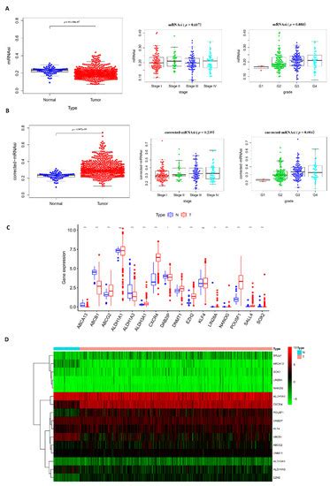 Identification of EZH2 as Cancer Stem Cell Marker in Clear Cell Renal ...