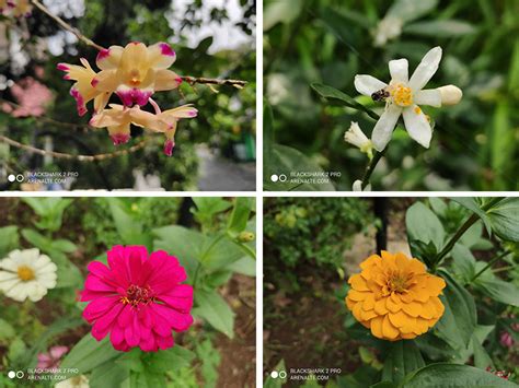 REVIEW BLACKSHARK 2 PRO: ULTIMATE GAMING SMARTPHONE